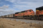 BNSF 9224 Roster shot